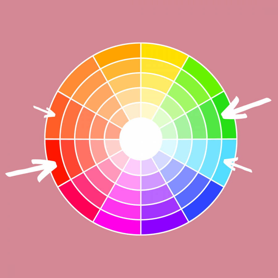 Complementary vs Analogous Color Palette Dorothy McDaniel's Flower Market